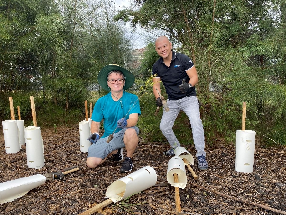 greater sydney landcare creating canopies 2.jpg