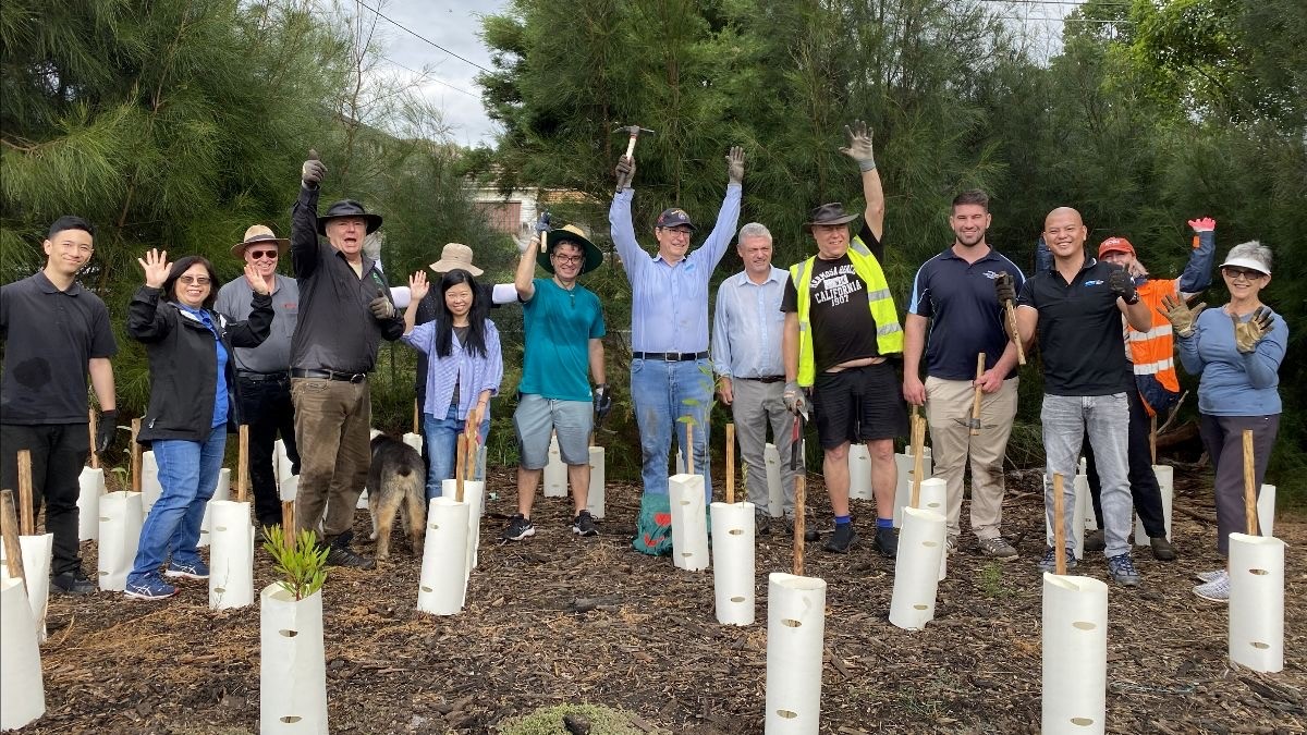 greater sydney landcare creating canopies 1.jpg