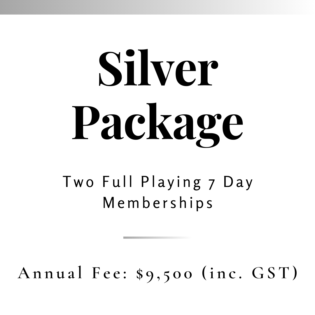SILVER PACKAGE.png