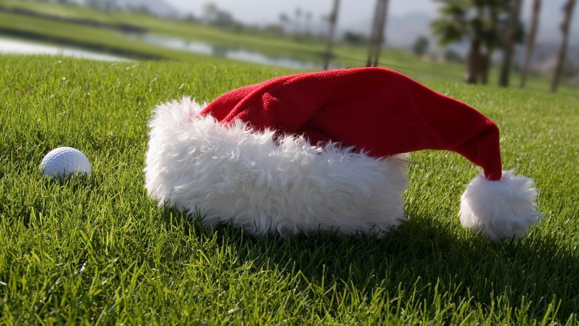 Course Managers Update - Around the Greens in December 2023