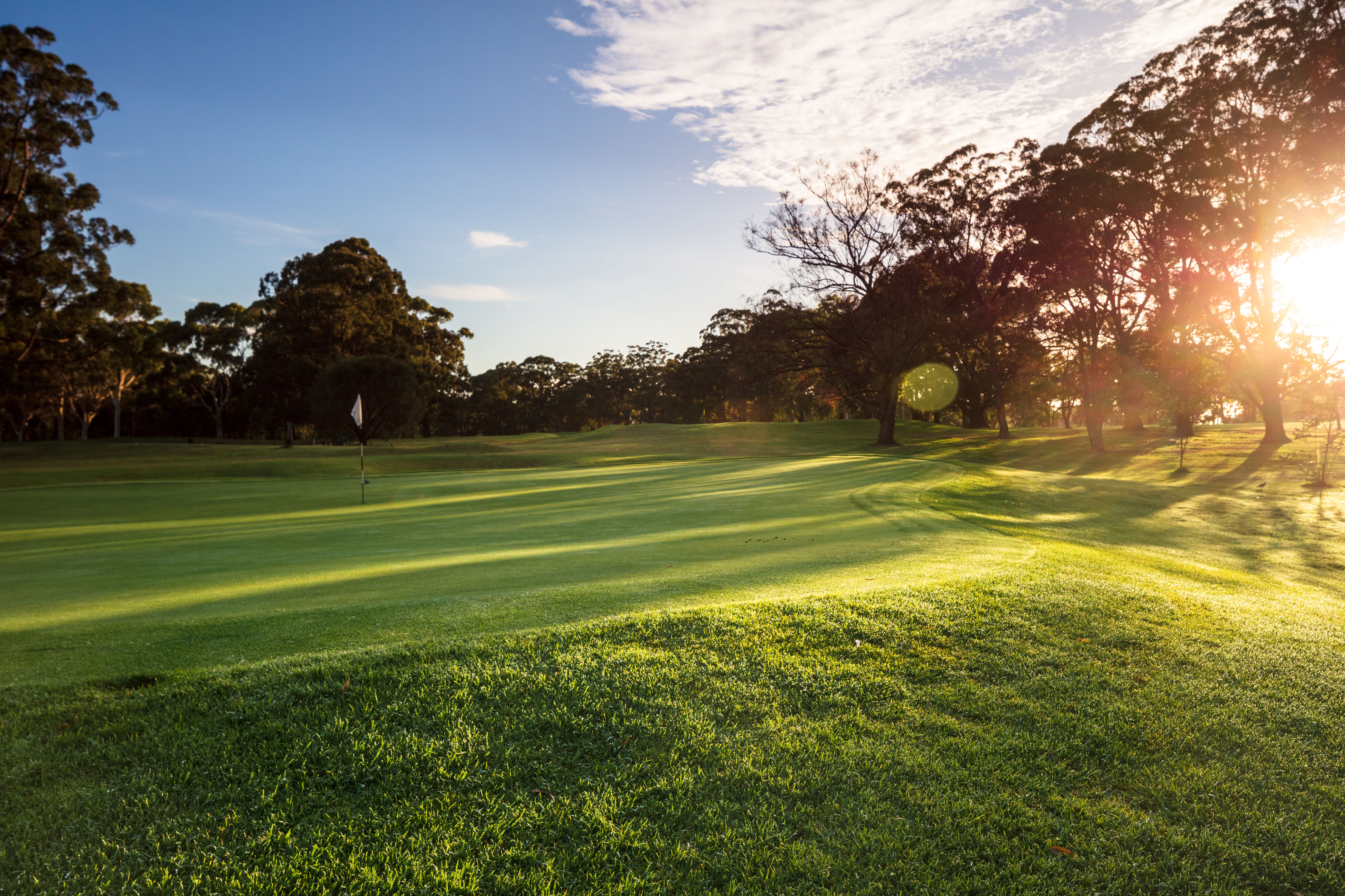 Course Managers Update - Around the Greens in January 2024