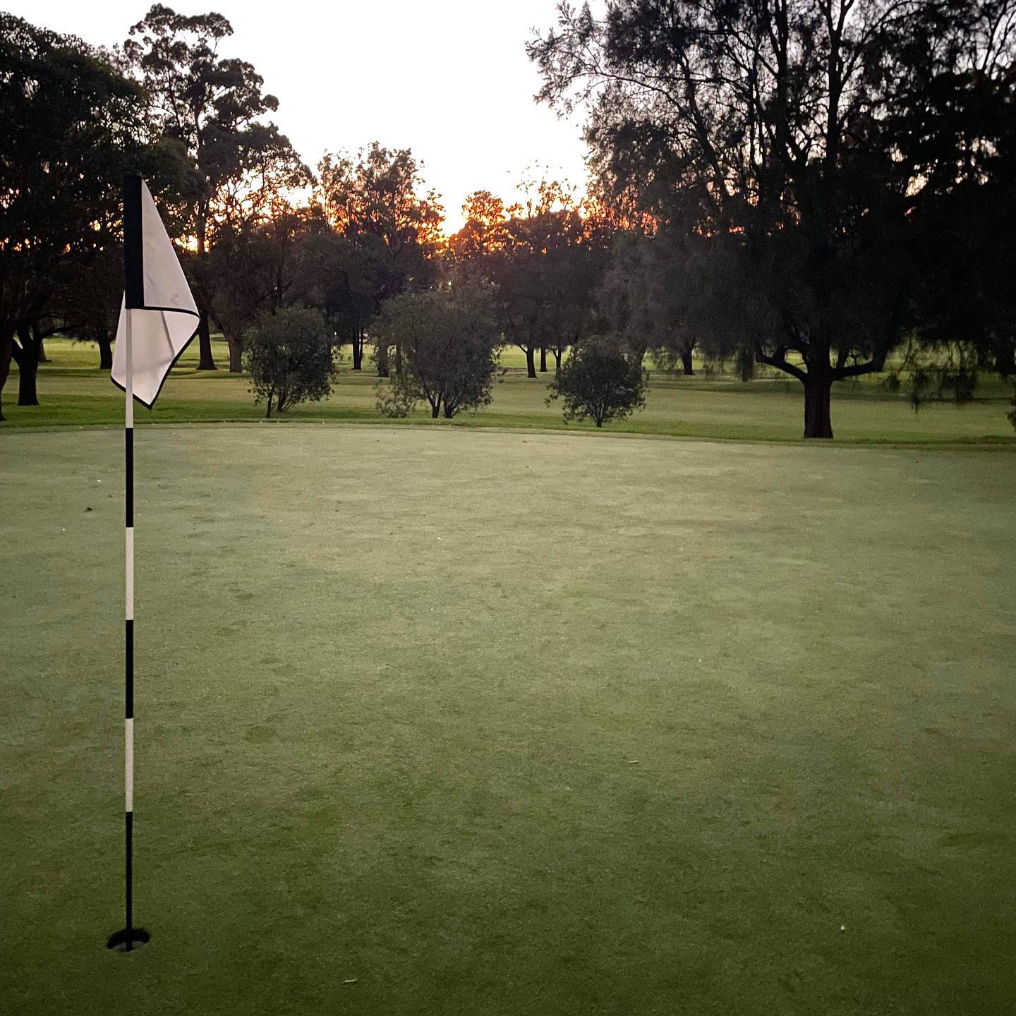 Course Managers Report - Around the Greens in July 2022