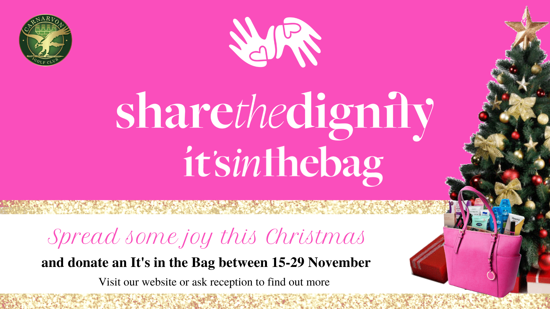 Share the Dignity - Its in the Bag
