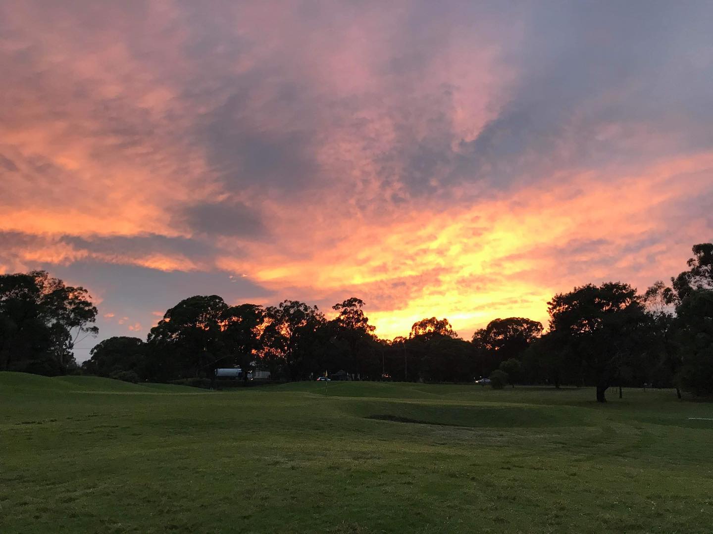 Course Managers Update - Around the Greens in January 2021