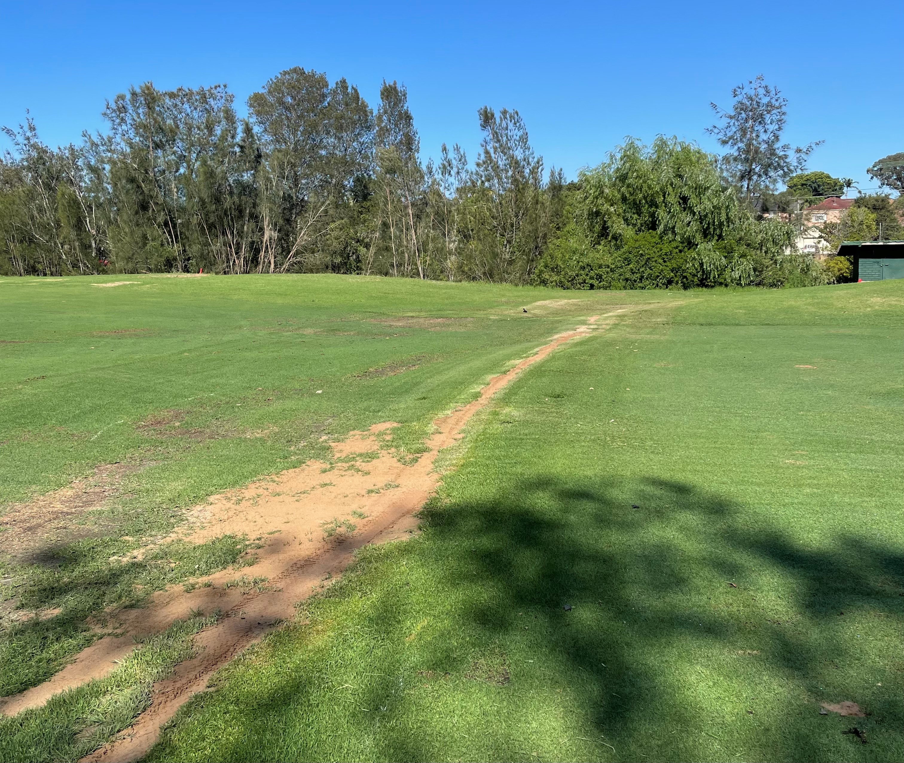 Course Managers Update - Around the Greens in February 2024