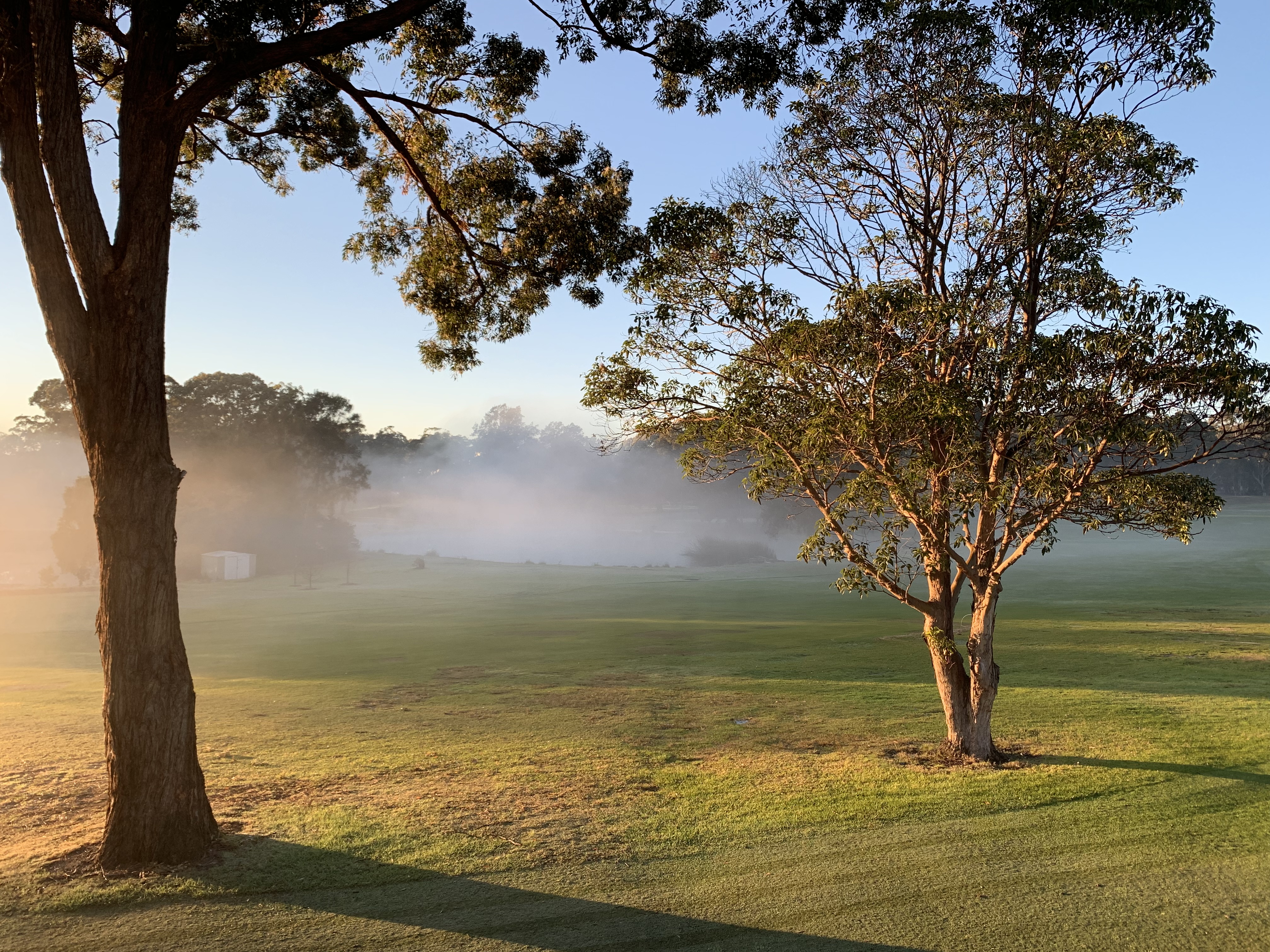 Course Managers Update - Around the Greens in December