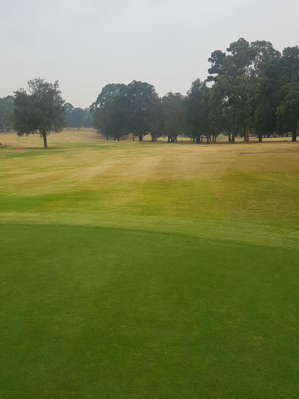 Course Managers Update - Around the Greens in January 2020