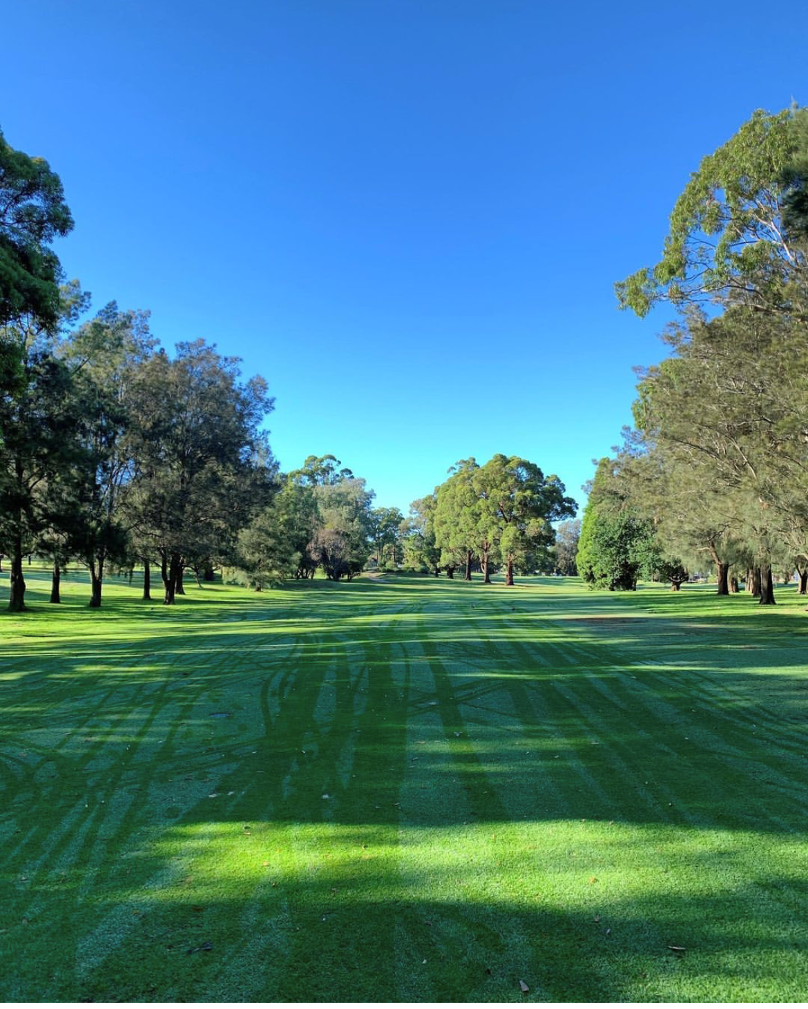 Course Managers Update - Around the Greens in February 2021