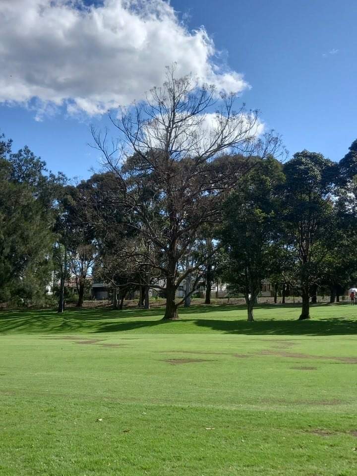 Course Managers Report - Around the Greens in September 2022