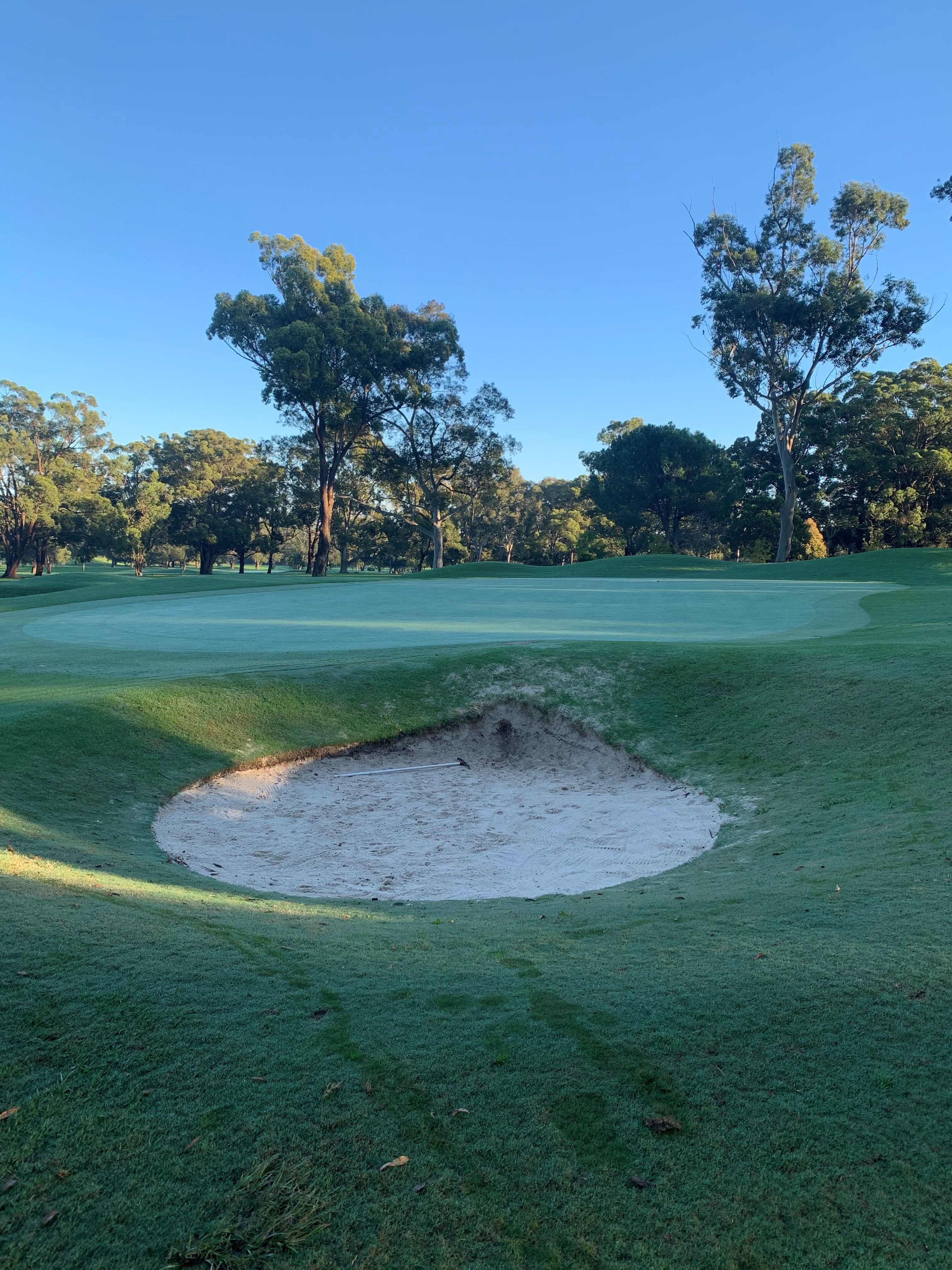 Course Managers Update - Around the Greens in May 2021