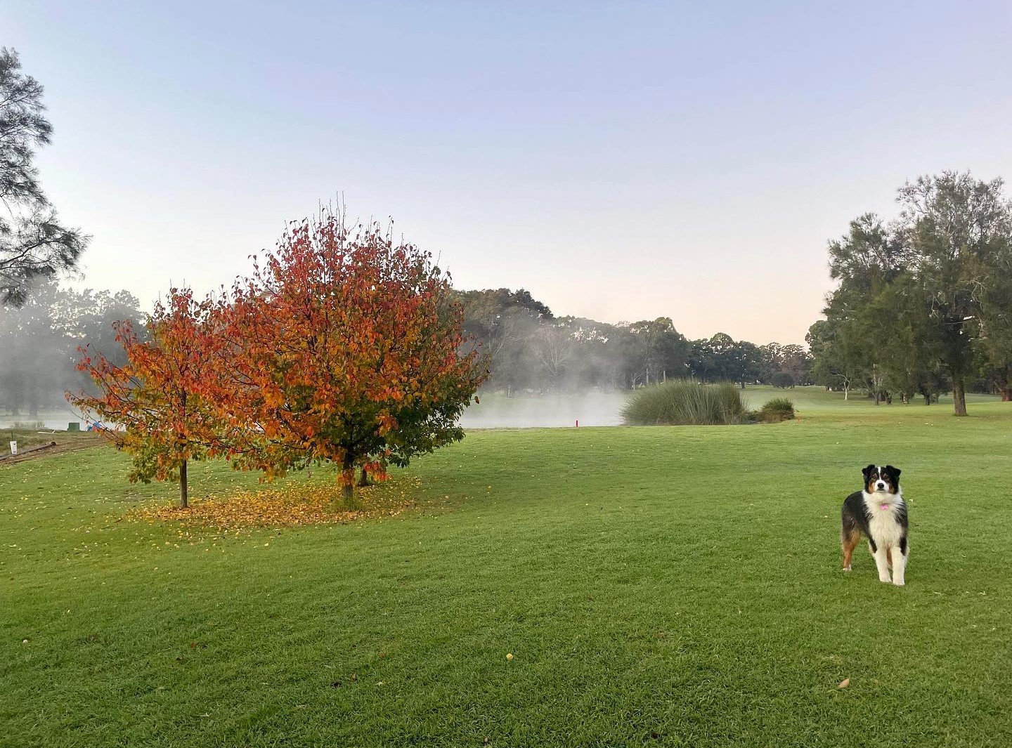 Course Managers Update - Around the Greens in June 2023