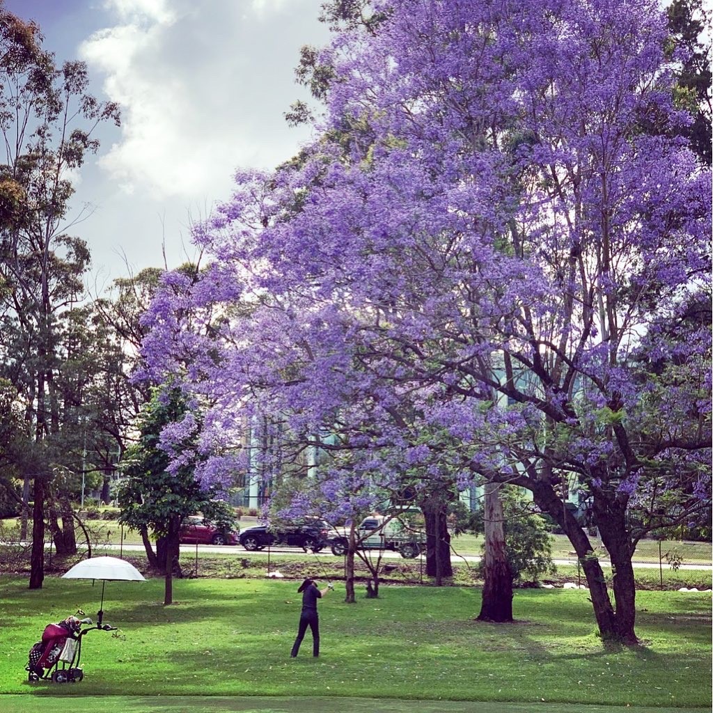 Course Managers Update - Around the Greens in December 2021