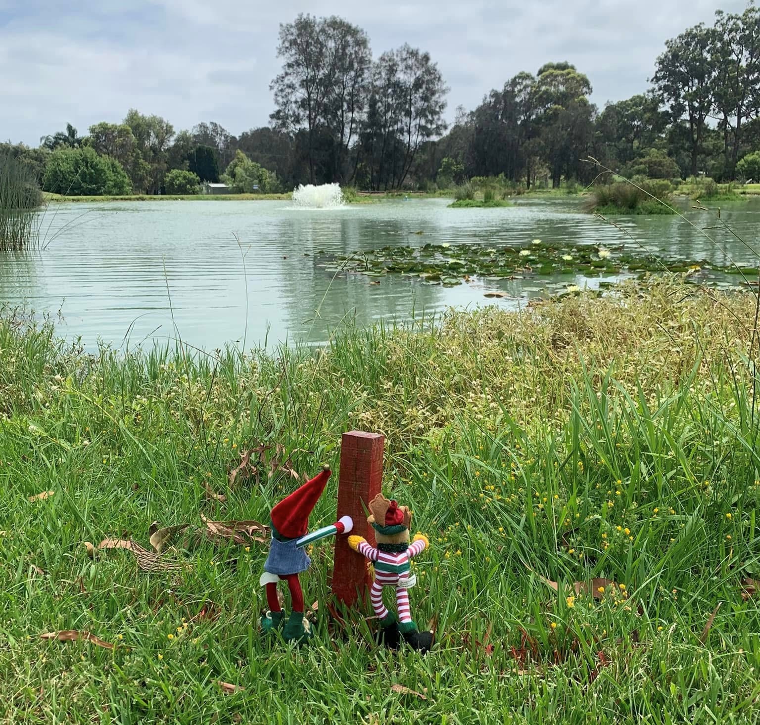 Course Managers Update - Around the Greens in December 2024