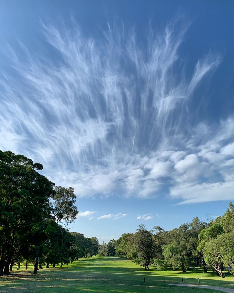 Course Managers Update - Around the Greens in May 2020