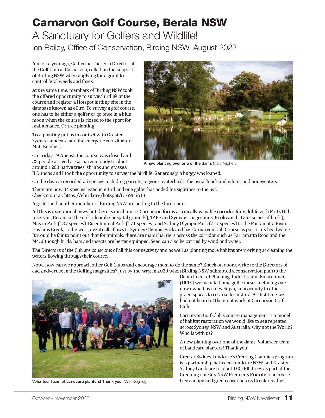 Birding_NSW_Oct_Nov_2022_Web_Digital copy.png