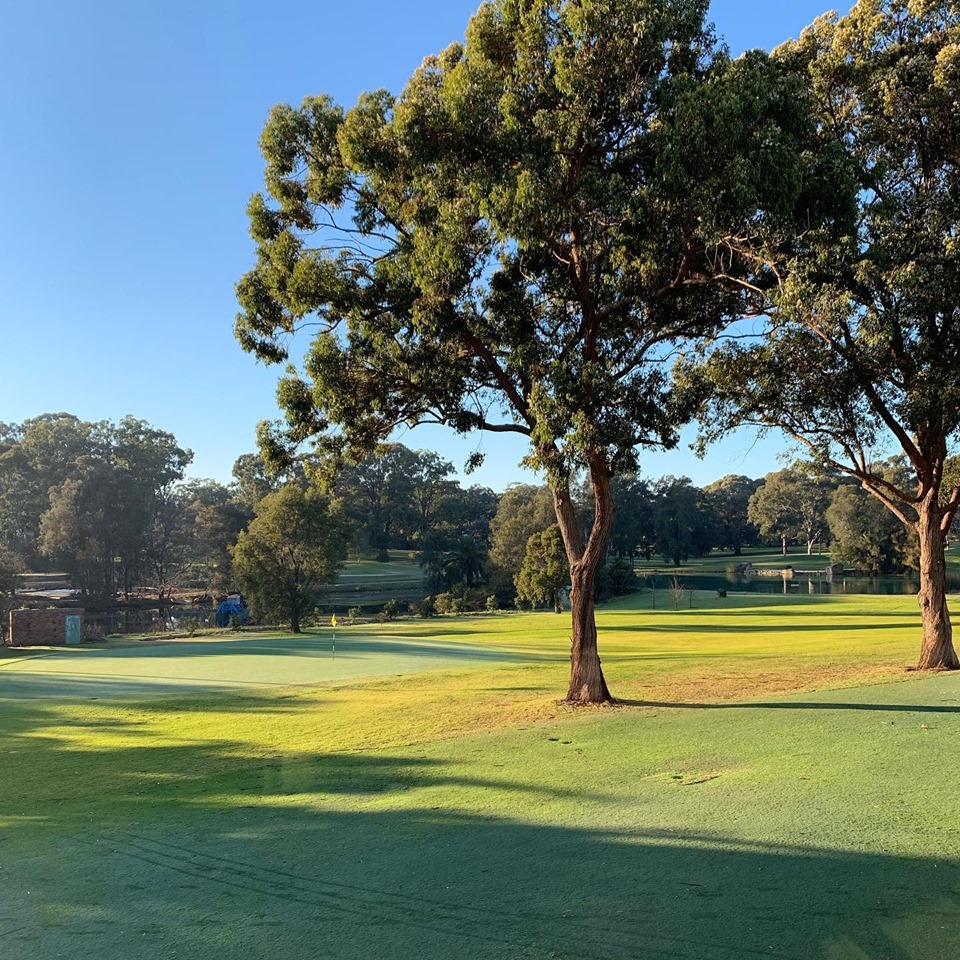 Mens Senior Order of Merit 2019