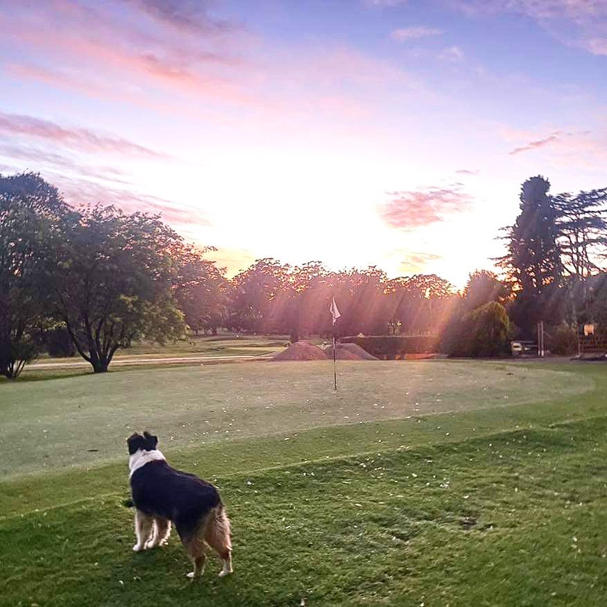 Course Managers Report - Around the Greens in July 2023