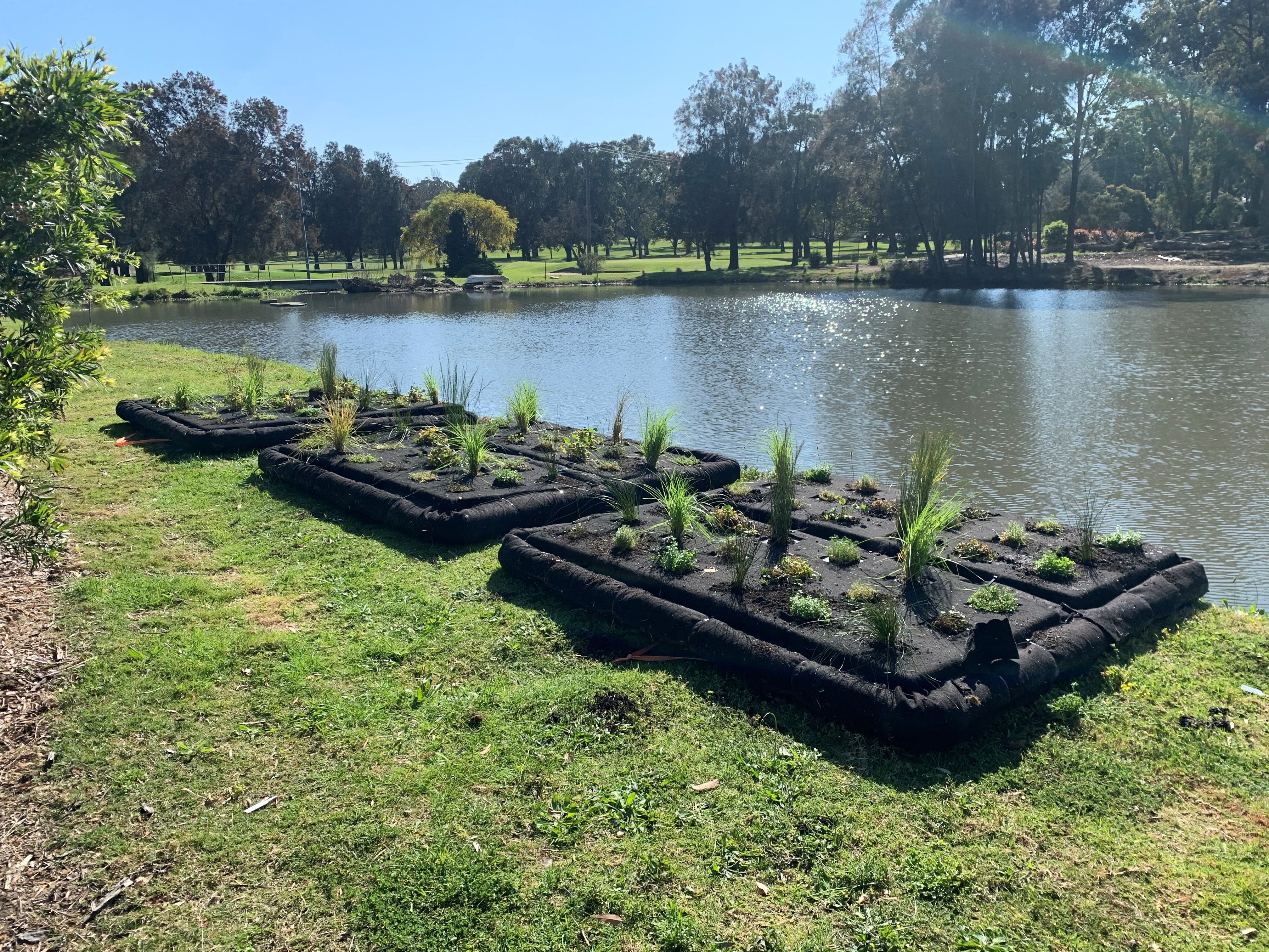 Course Managers Update - Around the Greens in October 2021