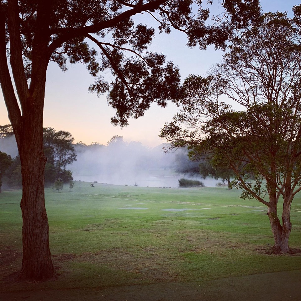 Course Managers Update - Around the Greens in June