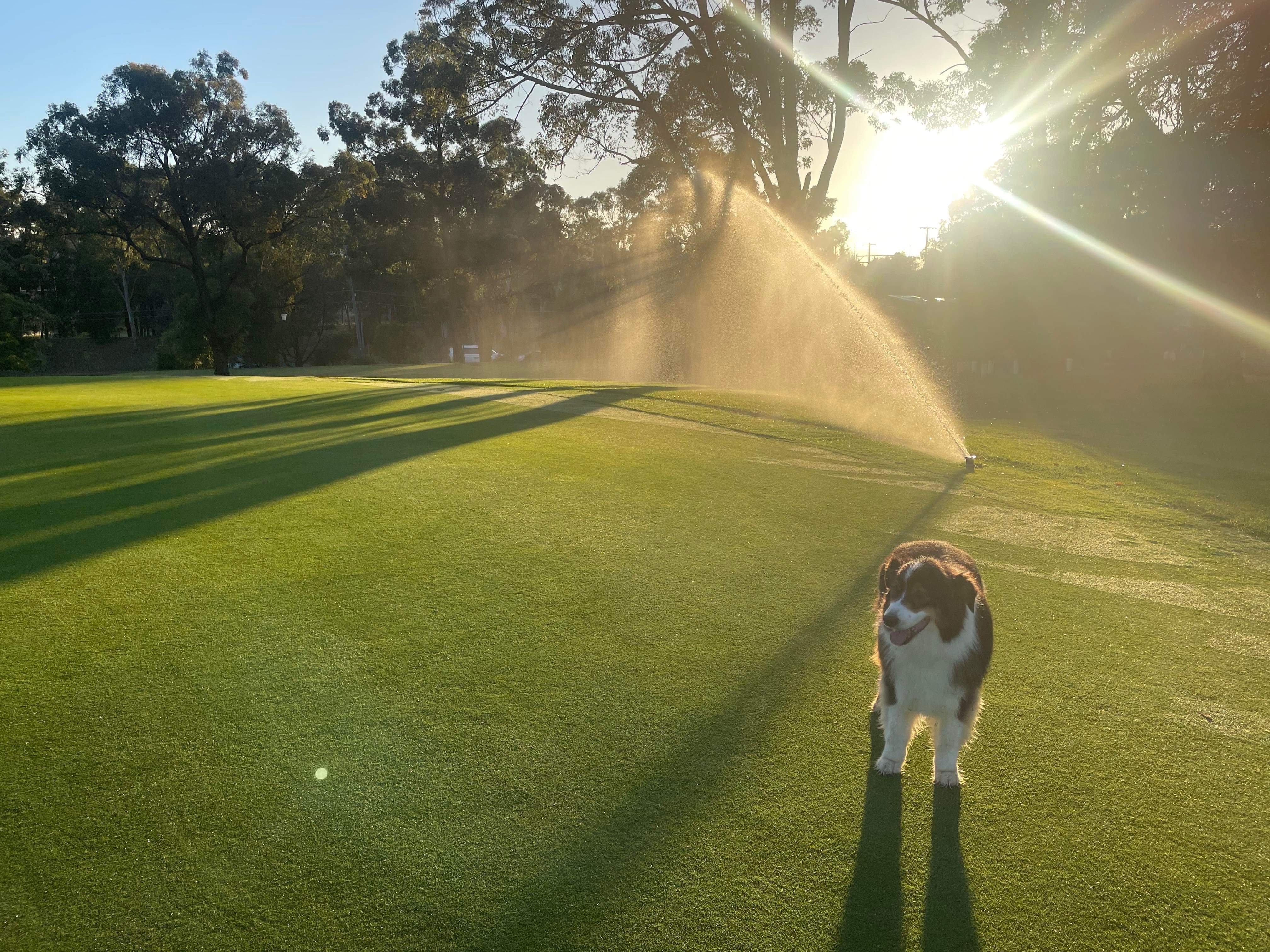Course Managers Report - Around the Greens in January 2023